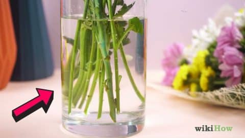 How to Make Fresh Flowers Last Longer | DIY Joy Projects and Crafts Ideas