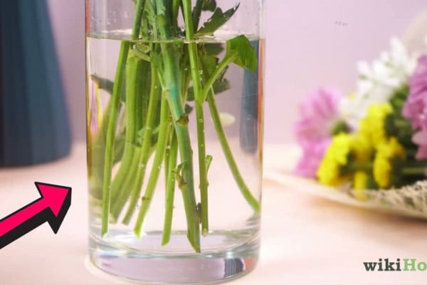 How to Make Fresh Flowers Last Longer