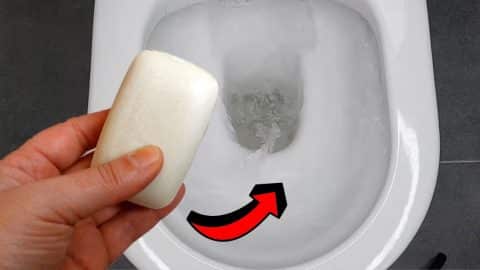 How to Make Your Toilet Smell Good for 24 Hours | DIY Joy Projects and Crafts Ideas