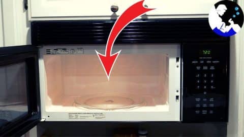 Easy No-Chemical Microwave Cleaning Hack | DIY Joy Projects and Crafts Ideas