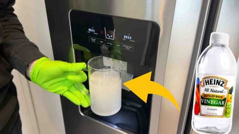 How To Deep Clean Your Water Dispenser | DIY Joy Projects and Crafts Ideas