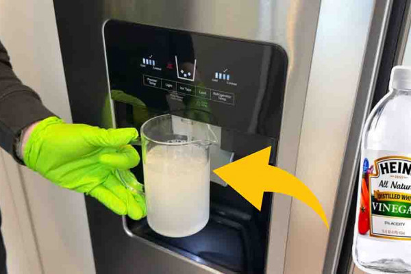 How To Deep Clean Your Water Dispenser