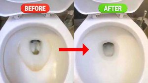 How to Remove Toilet Bowl Stains in 3 Minutes
