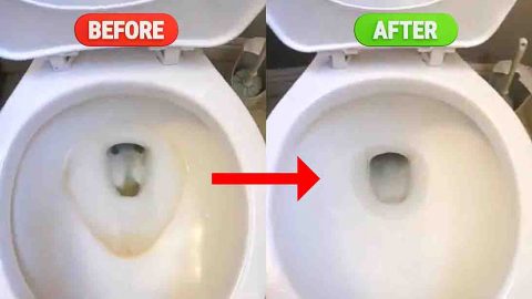 How to Remove Toilet Bowl Stains in 3 Minutes | DIY Joy Projects and Crafts Ideas