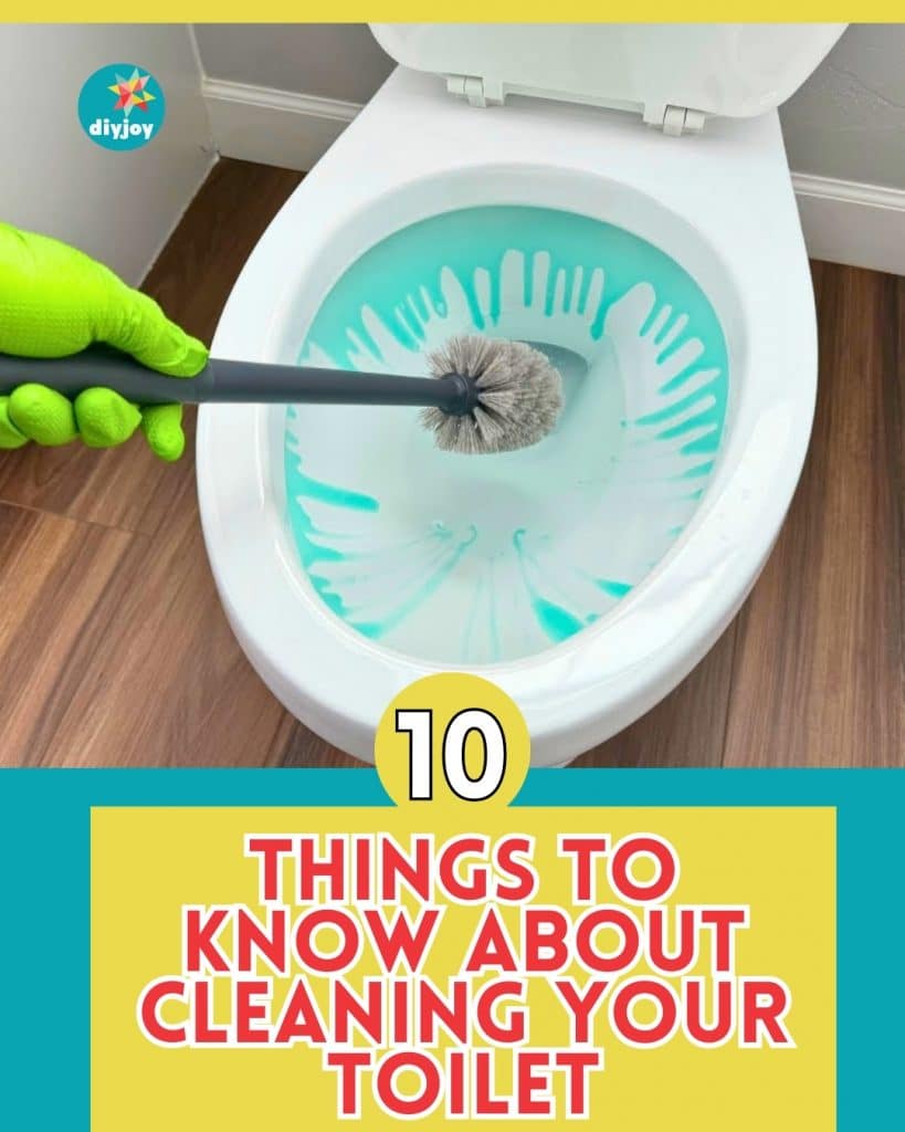 10 Things To Know About Cleaning Your Toilet