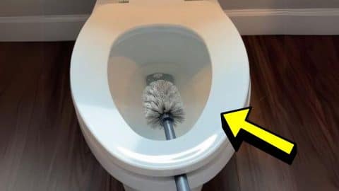 5 Genius Toilet Cleaning Tips You Have to Try Now | DIY Joy Projects and Crafts Ideas