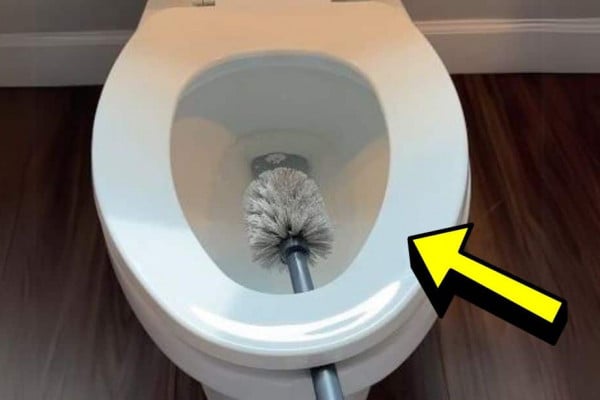 5 Genius Toilet Cleaning Tips