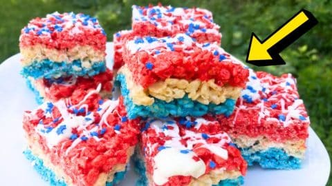5-Ingredient Crispy Rice Treats Microwave Recipe | DIY Joy Projects and Crafts Ideas