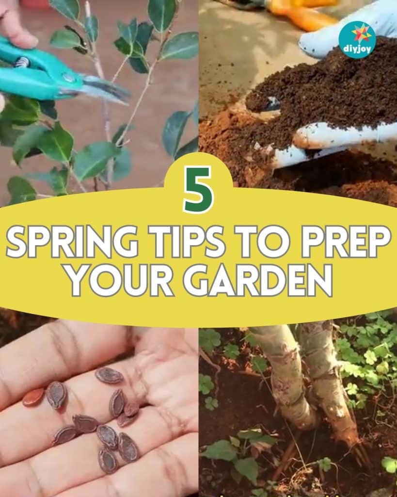 5 Spring Tips to Prep Your Garden