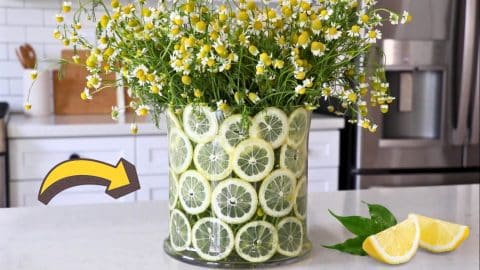 DIY Lemon Centerpiece Spring Decor | DIY Joy Projects and Crafts Ideas