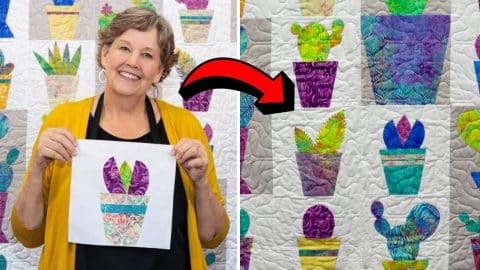 Easy Jenny Doan’s Cactus Carnival Quilt Tutorial | DIY Joy Projects and Crafts Ideas
