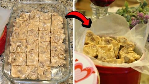 Easy Microwave New Orleans Praline Pecan Candy Recipe | DIY Joy Projects and Crafts Ideas