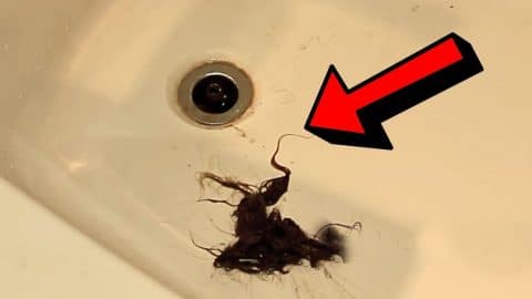 How to Fix A Bathtub Drain Clogged by Hair | DIY Joy Projects and Crafts Ideas
