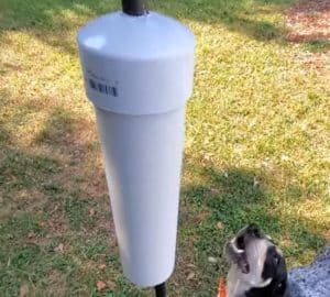 How to Keep Squirrels Off Your Bird Feeder - DIY Joy