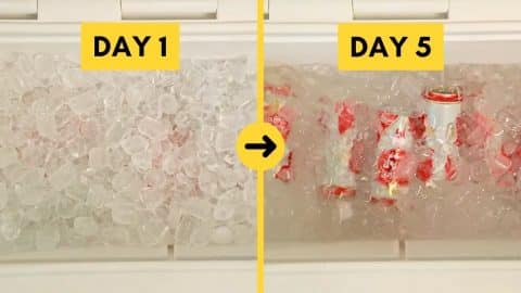 How to Make Ice Last Longer in Your Cooler | DIY Joy Projects and Crafts Ideas
