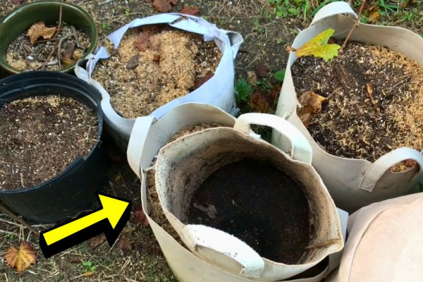 How to Re-Use Old Potting Soil
