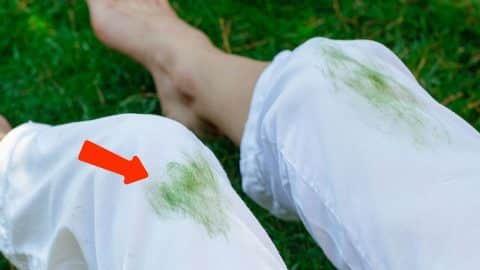 How to Remove Grass Stains From Clothes | DIY Joy Projects and Crafts Ideas