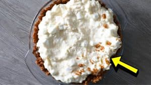 Marshmallow Fridge Tart Recipe
