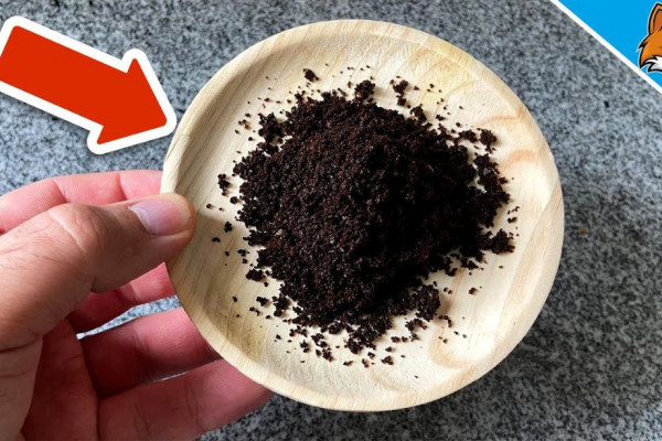 Why You'll Never Throw Away Coffee Grounds Again