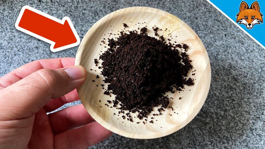 Why You’ll Never Throw Away Coffee Grounds Again | DIY Joy Projects and Crafts Ideas