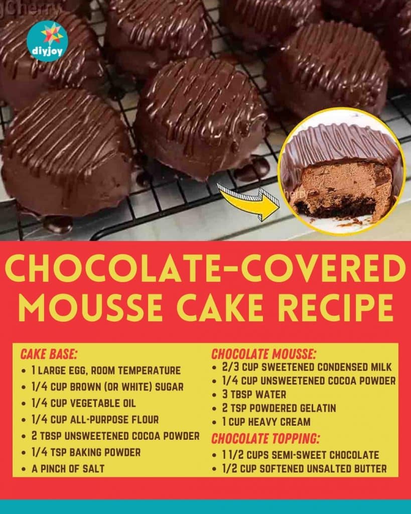 Chocolate-Covered Mousse Cake Recipe
