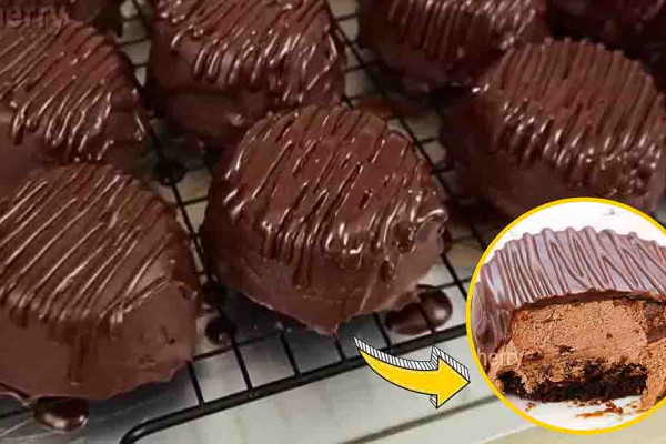 Chocolate-Covered Mousse Cake Recipe