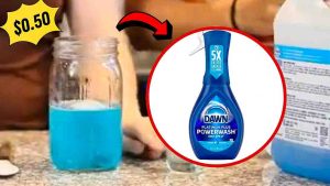 Dawn Powerwash Refill Hack