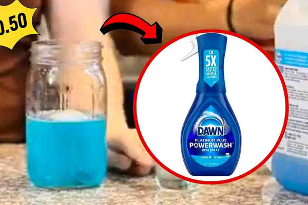 Dawn Powerwash Refill Hack