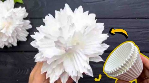 DIY Flowers Using Cupcake Liners Tutorial | DIY Joy Projects and Crafts Ideas