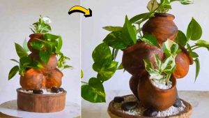 DIY Tabletop Indoor Garden Using Small Clay Pots