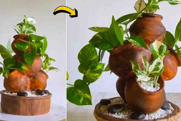 DIY Tabletop Indoor Garden Using Small Clay Pots