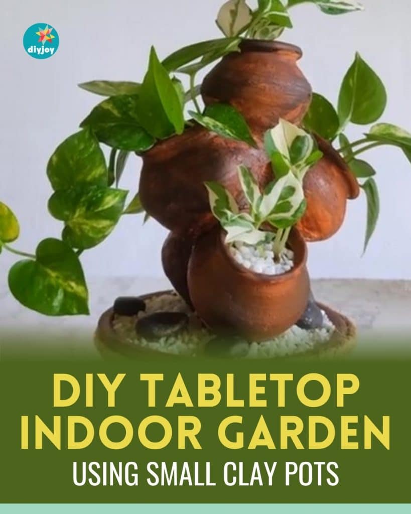 DIY Tabletop Indoor Garden Using Small Clay Pots
