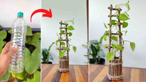 DIY Twig Planter Using A Plastic Bottle | DIY Joy Projects and Crafts Ideas