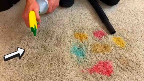 How to Remove Any Carpet Spot or Stain | DIY Joy Projects and Crafts Ideas