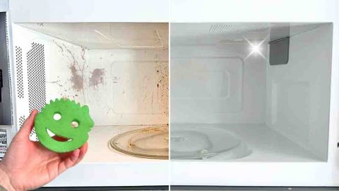 The Fastest and Quickest Way To Clean Your Microwave | DIY Joy Projects and Crafts Ideas