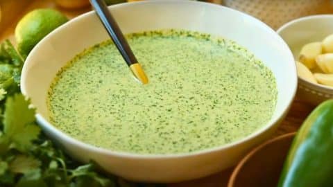10-Minute Green Cilantro Sauce | DIY Joy Projects and Crafts Ideas