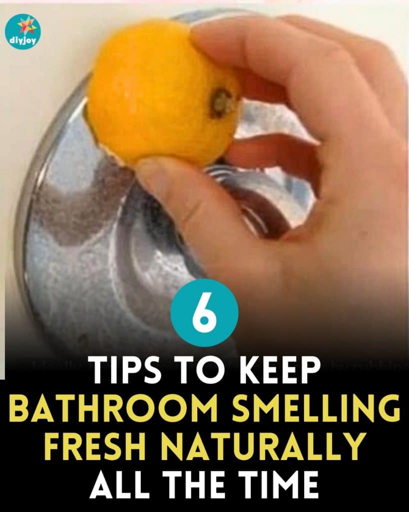6 Tips To Keep Bathroom Smelling Fresh Naturally All the Time