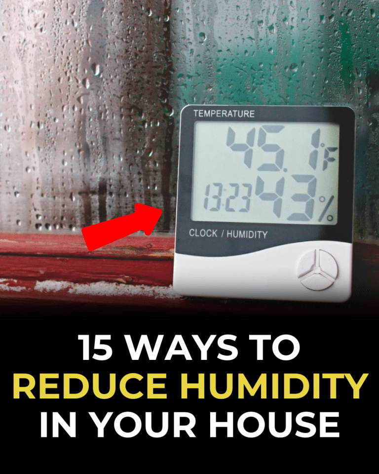 15 Ways to Reduce Humidity in Your House