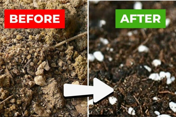 2 Easy Methods to Revitalize Old Potting Soil