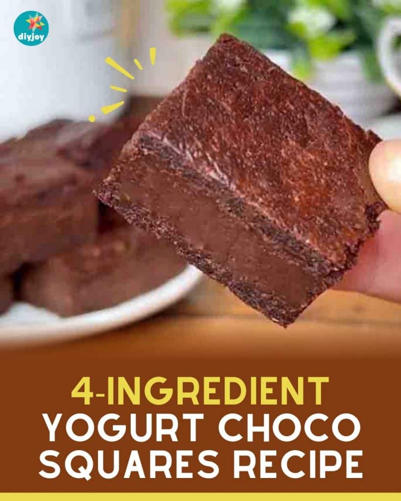 4-Ingredient Yogurt Chocolate Squares Recipe