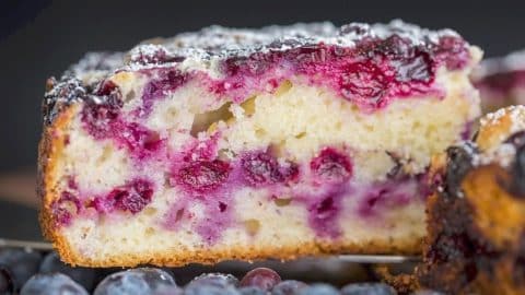 Blueberry Lemon Cake Recipe | DIY Joy Projects and Crafts Ideas