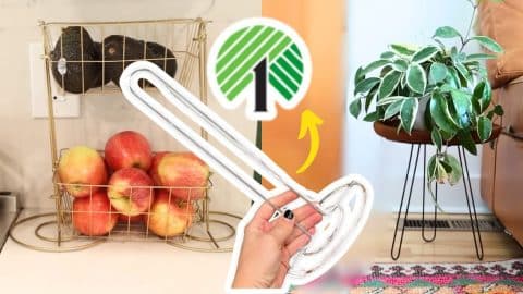 9 Dollar Tree Paper Towel Holder Hacks | DIY Joy Projects and Crafts Ideas