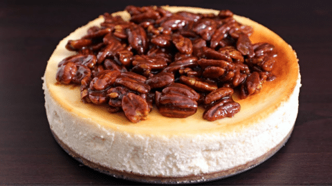Easy Caramel Pecan Cheesecake Recipe | DIY Joy Projects and Crafts Ideas