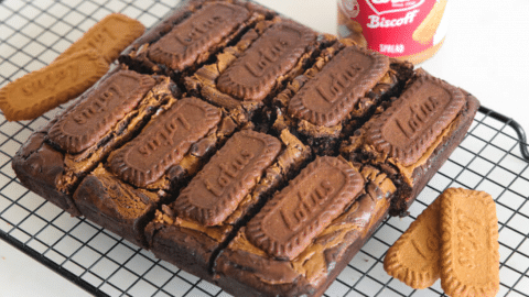 Easy Chocolate Butter Biscoff Brownies Recipe | DIY Joy Projects and Crafts Ideas