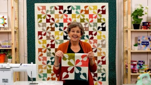 Hearts and Gizzards Quilt With Jenny Doan | DIY Joy Projects and Crafts Ideas