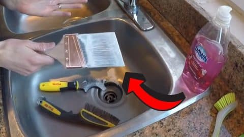 How to Clean a Paintbrush With Dried Paint | DIY Joy Projects and Crafts Ideas