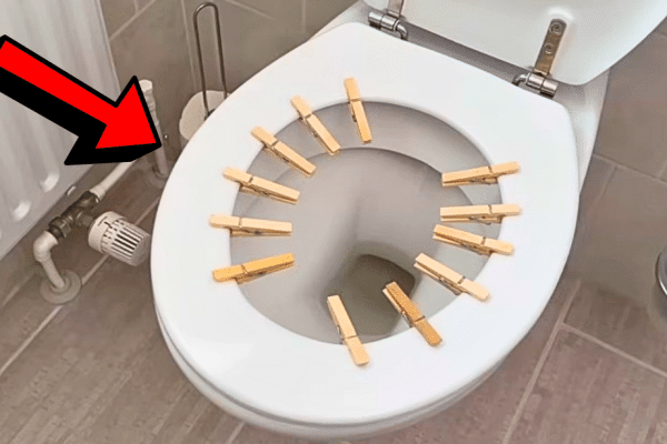 How to Make Your House Smell Good