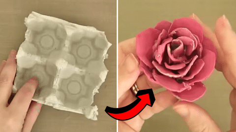 How to Make a DIY Egg Carton Rose | DIY Joy Projects and Crafts Ideas