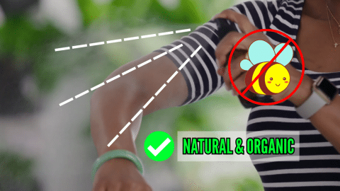 How to Make a Natural DIY Bug Repellent | DIY Joy Projects and Crafts Ideas