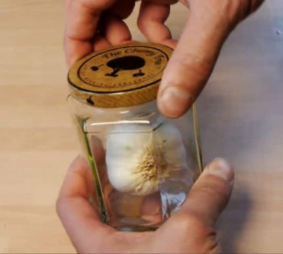 Clever Garlic Peeling Hack - DIY Joy